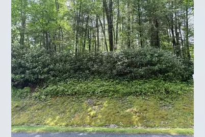 Lot 42 Linville River Lane, Linville, NC 28646 - Photo 3