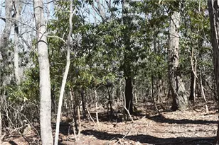 Lot 31 Hillside Ln, Jefferson, NC 28640 - Photo 1