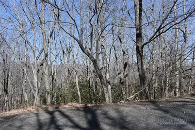 Lot 31 Hillside Lane, Jefferson, NC 28640 - Photo 3