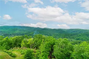 170 Profile Pt, Boone, NC 28607 - Photo 11