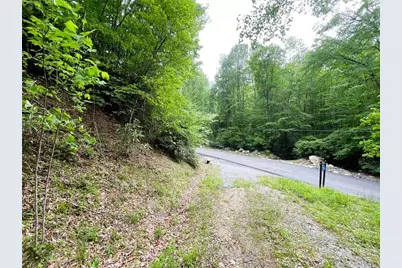 100 Chicory Lane, Beech Mountain, NC 28604 - Photo 1