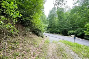 100 Chicory Ln, Beech Mountain, NC 28604 - Photo 1