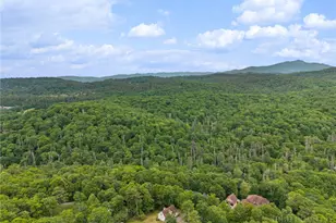 132 Yearling Ln, Blowing Rock, NC 28605 - Photo 33