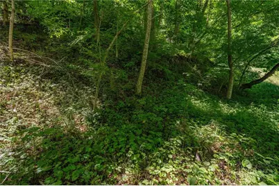 Tbd Smith Street, Vilas, NC 28692 - Photo 35