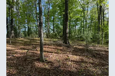 Tbd Weaver Ford Road, Grassy Creek, NC 28631 - Photo 15