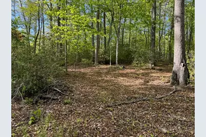 Tbd Weaver Ford Road, Grassy Creek, NC 28631 - Photo 11