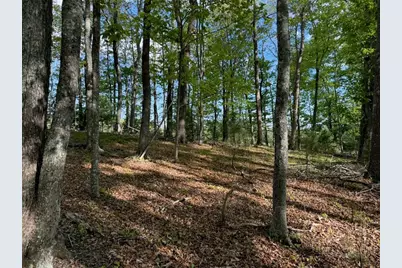 Tbd Weaver Ford Road, Grassy Creek, NC 28631 - Photo 13