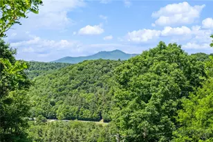 310 Locust Point Dr, Boone, NC 28607 - Photo 9