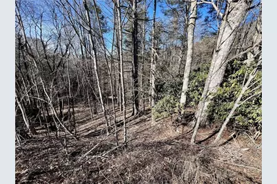 Tbd N 321 Highway, Sugar Grove, NC 28679 - Photo 3