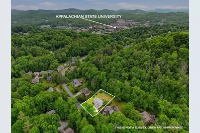 117 Indian Pipes Trail, Boone, NC 28607 - Photo 15