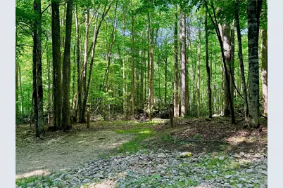 Lot 5A Buckeye Ridge Road, Beech Mountain, NC 28604 - Photo 3