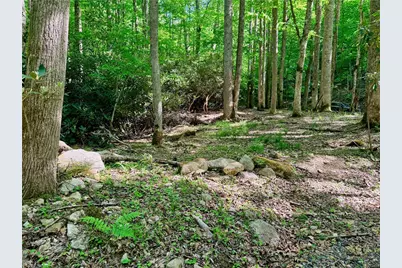 Lot 5A Buckeye Ridge Road, Beech Mountain, NC 28604 - Photo 7