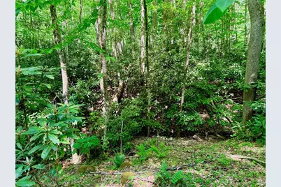 Lot 5A Buckeye Ridge Road, Beech Mountain, NC 28604 - Photo 11