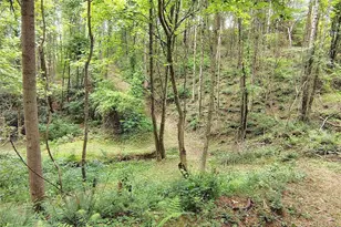 85 Teresa Way, Ennice, NC 28623 - Photo 35