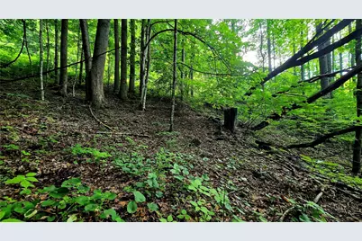 Lot 18 Elk Creek Mountain Parkway, Todd, NC 28684 - Photo 13