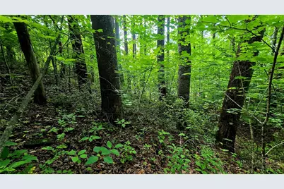 Lot 18 Elk Creek Mountain Parkway, Todd, NC 28684 - Photo 11