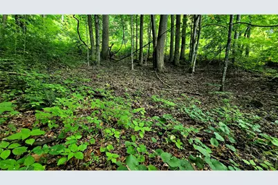 Lot 18 Elk Creek Mountain Parkway, Todd, NC 28684 - Photo 1