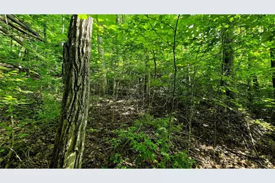 Lot 18 Elk Creek Mountain Parkway, Todd, NC 28684 - Photo 7