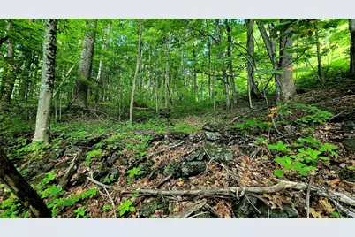 Lot 18 Elk Creek Mountain Parkway, Todd, NC 28684 - Photo 5