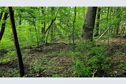 Lot 18 Elk Creek Mountain Parkway, Todd, NC 28684 - Photo 17