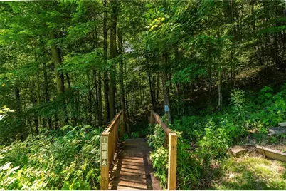 1260 Fork Ridge Road, Zionville, NC 28698 - Photo 41