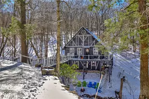 136 Staghorn Hollow, Beech Mountain, NC 28604 - Photo 35