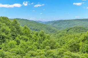 118 Paisley View, Lenoir, NC 28645 - Photo 47