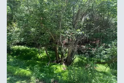Tbd Ridge View Trail, Fleetwood, NC 28626 - Photo 7