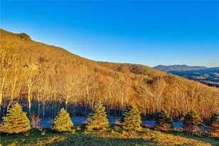 76 Vly Watch Ct, Banner Elk, NC 28604 - Photo 41