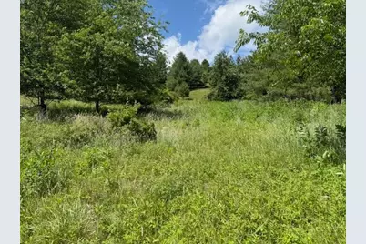 Tbd Park View Drive, Jefferson, NC 28640 - Photo 5