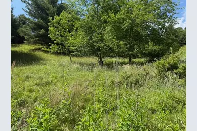 Tbd Park View Drive, Jefferson, NC 28640 - Photo 7
