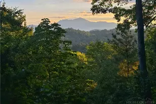 365 Peacock Dr, Blowing Rock, NC 28605 - Photo 19