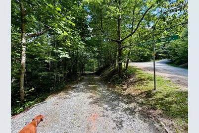 Tbd Grandfather Watch Lane, Banner Elk, NC 28604 - Photo 13