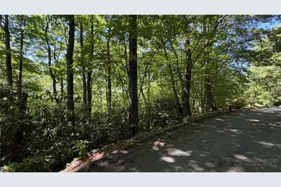 Tbd Newbiggin, Boone, NC 28607 - Photo 3