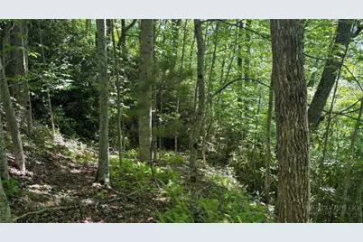 Tbd Newbiggin, Boone, NC 28607 - Photo 39