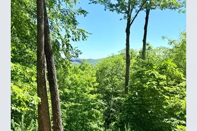 Lot 48 & 49 Davis Acres, West Jefferson, NC 28694 - Photo 3