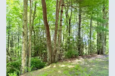 Lot 48 & 49 Davis Acres, West Jefferson, NC 28694 - Photo 15