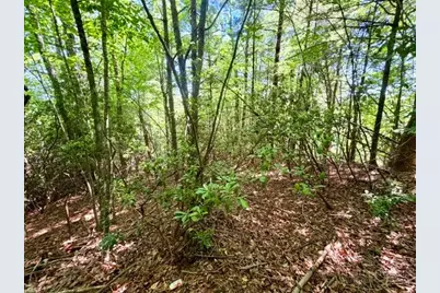 Lot 48 & 49 Davis Acres, West Jefferson, NC 28694 - Photo 9