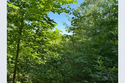 Lot 48 & 49 Davis Acres, West Jefferson, NC 28694 - Photo 13