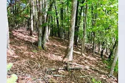 Lot 48 & 49 Davis Acres, West Jefferson, NC 28694 - Photo 5