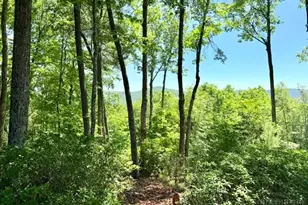 Lot 48 & 49 Davis Acres, West Jefferson, NC 28694 - Photo 1