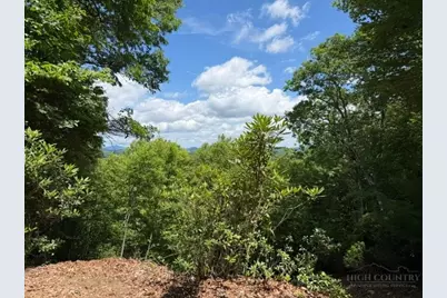Lot 48 & 49 Davis Acres, West Jefferson, NC 28694 - Photo 19