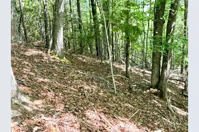 Lot 48 & 49 Davis Acres, West Jefferson, NC 28694 - Photo 7