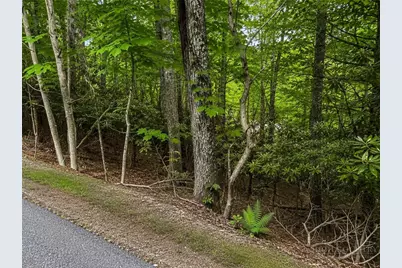 Tbd Walnut Road, Boone, NC 28607 - Photo 3