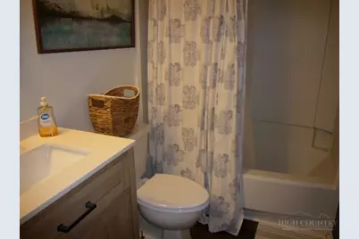 3114 Pinnacle Inn Road #3114, Beech Mountain, NC 28604 - Photo 13