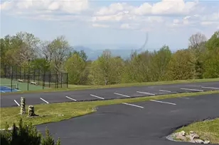 3114 Pinnacle Inn Rd, Beech Mountain, NC 28604 - Photo 17