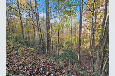 Lot 63 Bent Bow Drive, Collettsville, NC 28645 - Photo 7