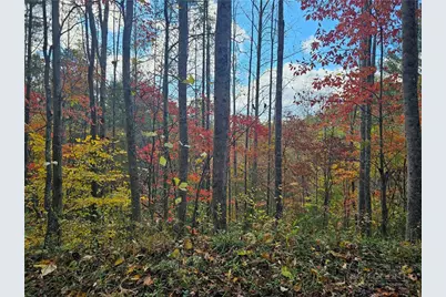 Lot 63 Bent Bow Drive, Collettsville, NC 28645 - Photo 3