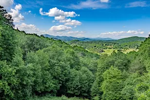 354 Brown Mountain Ridge Rd, Blowing Rock, NC 28605 - Photo 1