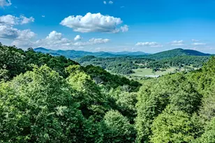 354 Brown Mountain Ridge Rd, Blowing Rock, NC 28605 - Photo 49